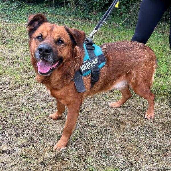 JONAS CAGNOLONE GENTILE Foto 7